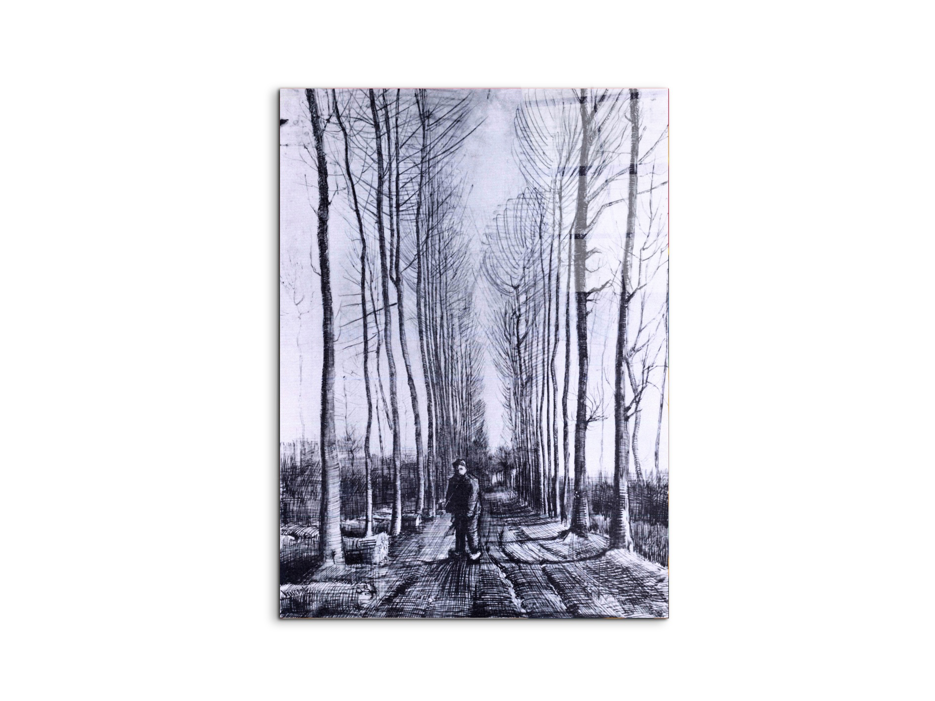 poplar-avenueas91167-#materiale_CrystalArt/dimensioni_57x76