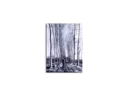 poplar-avenueas91167-#materiale_CrystalArt/dimensioni_37,50x50