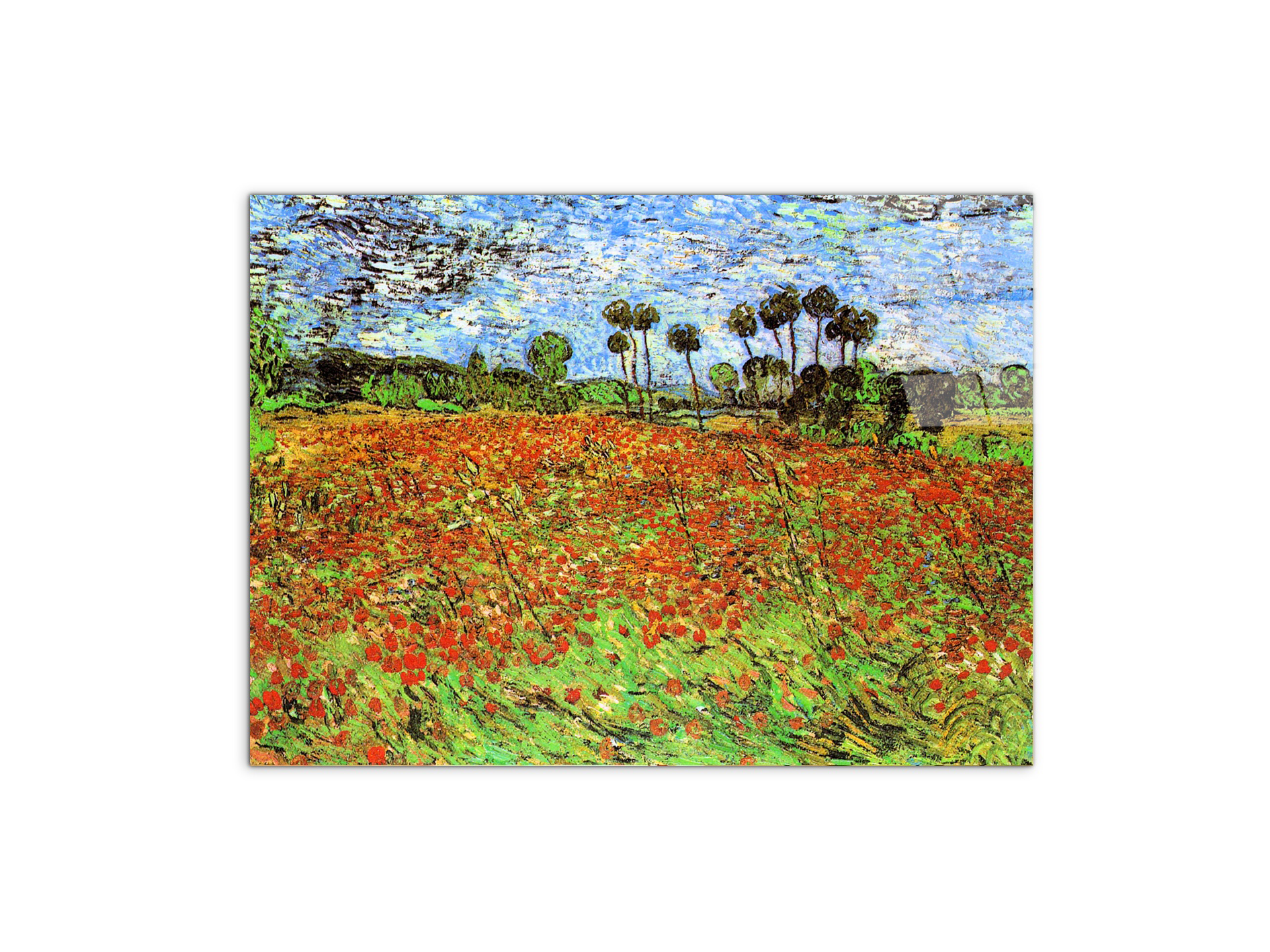 poppy-fieldsas91169-#materiale_CrystalArt/dimensioni_76x57
