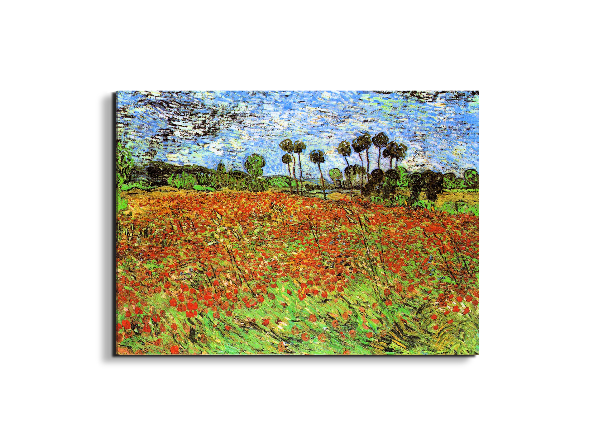 poppy-fieldsas91169-#materiale_EarthArt/dimensioni_76x57