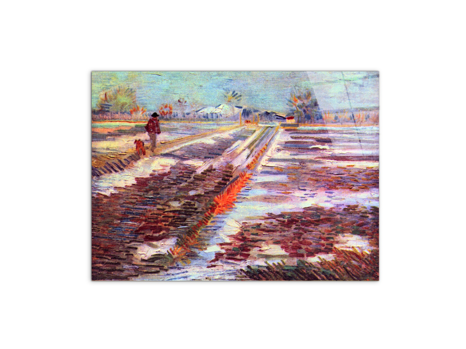 snowy-fields-in-arlesas91189-#materiale_CrystalArt/dimensioni_76x57