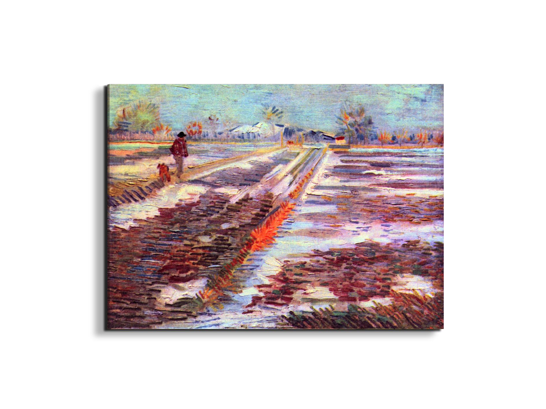 snowy-fields-in-arlesas91189-#materiale_EarthArt/dimensioni_76x57