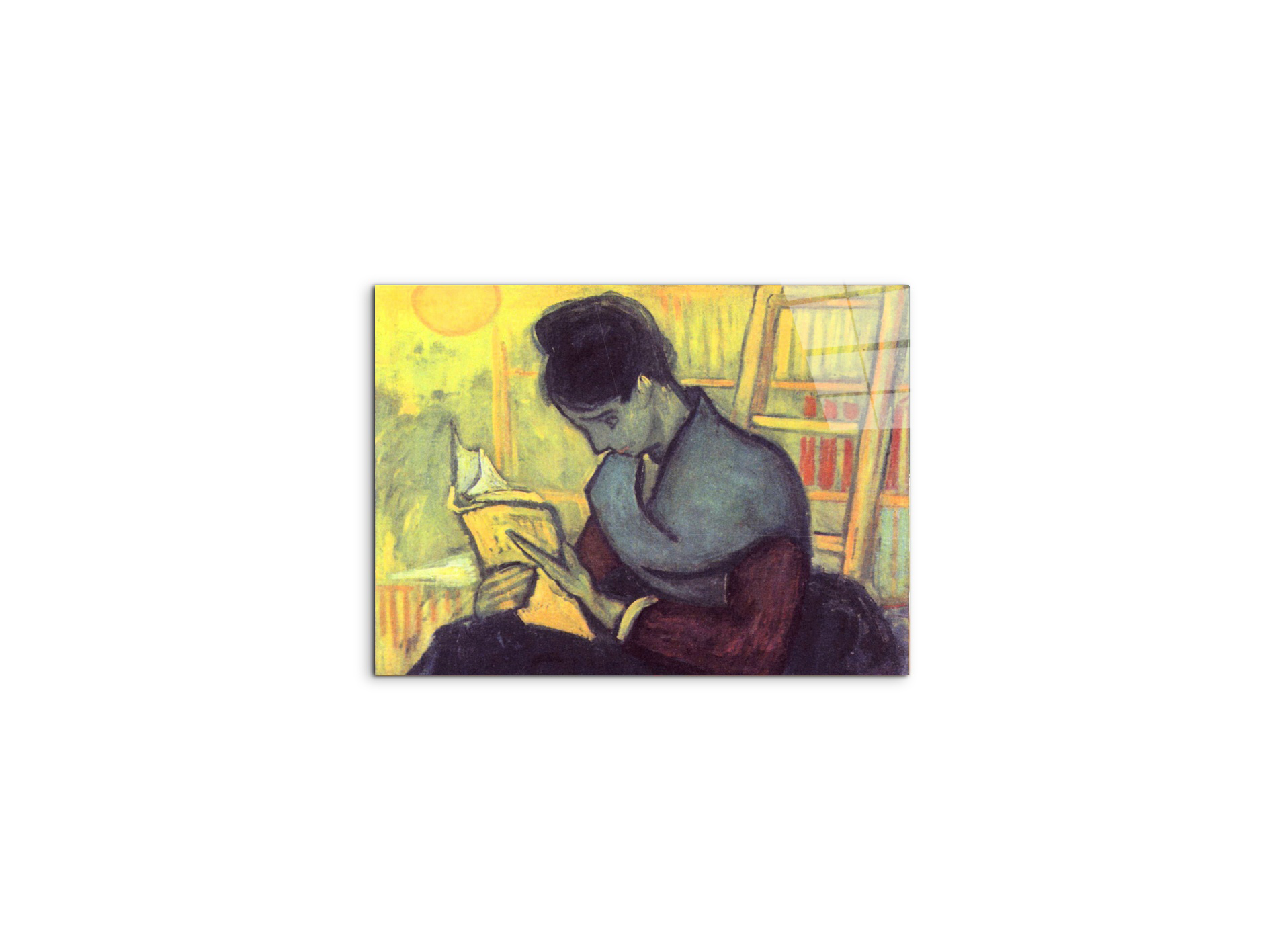 the-novel-reader-as91273-
