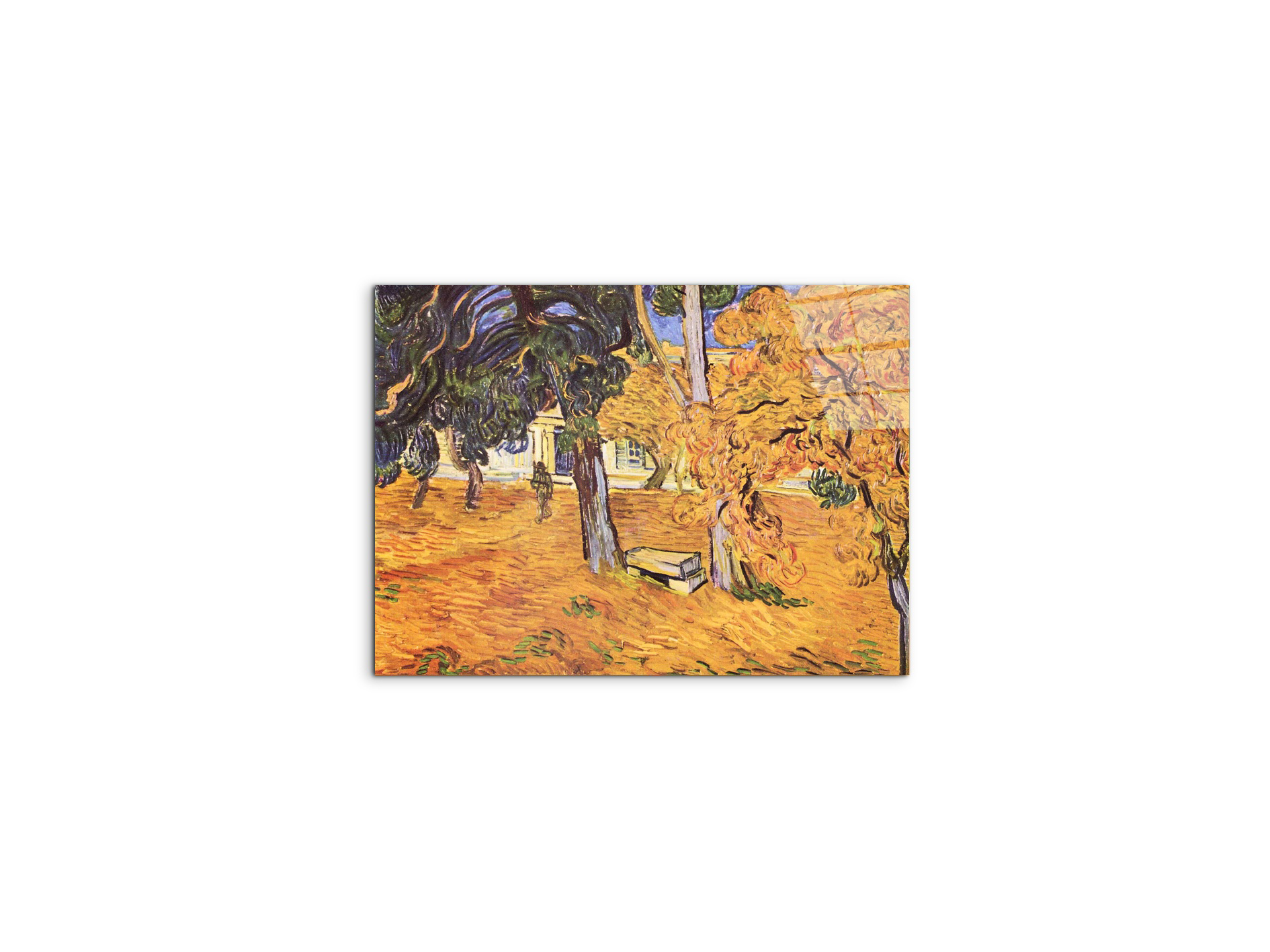 the-park-of-st-paul-hospital-in-saint-remyas91279-#materiale_CrystalArt/dimensioni_50x37,50