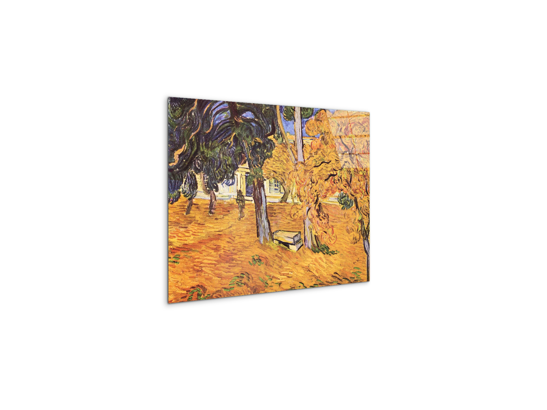 the-park-of-st-paul-hospital-in-saint-remyas91279-#materiale_CrystalArt/dimensioni_50x37,50