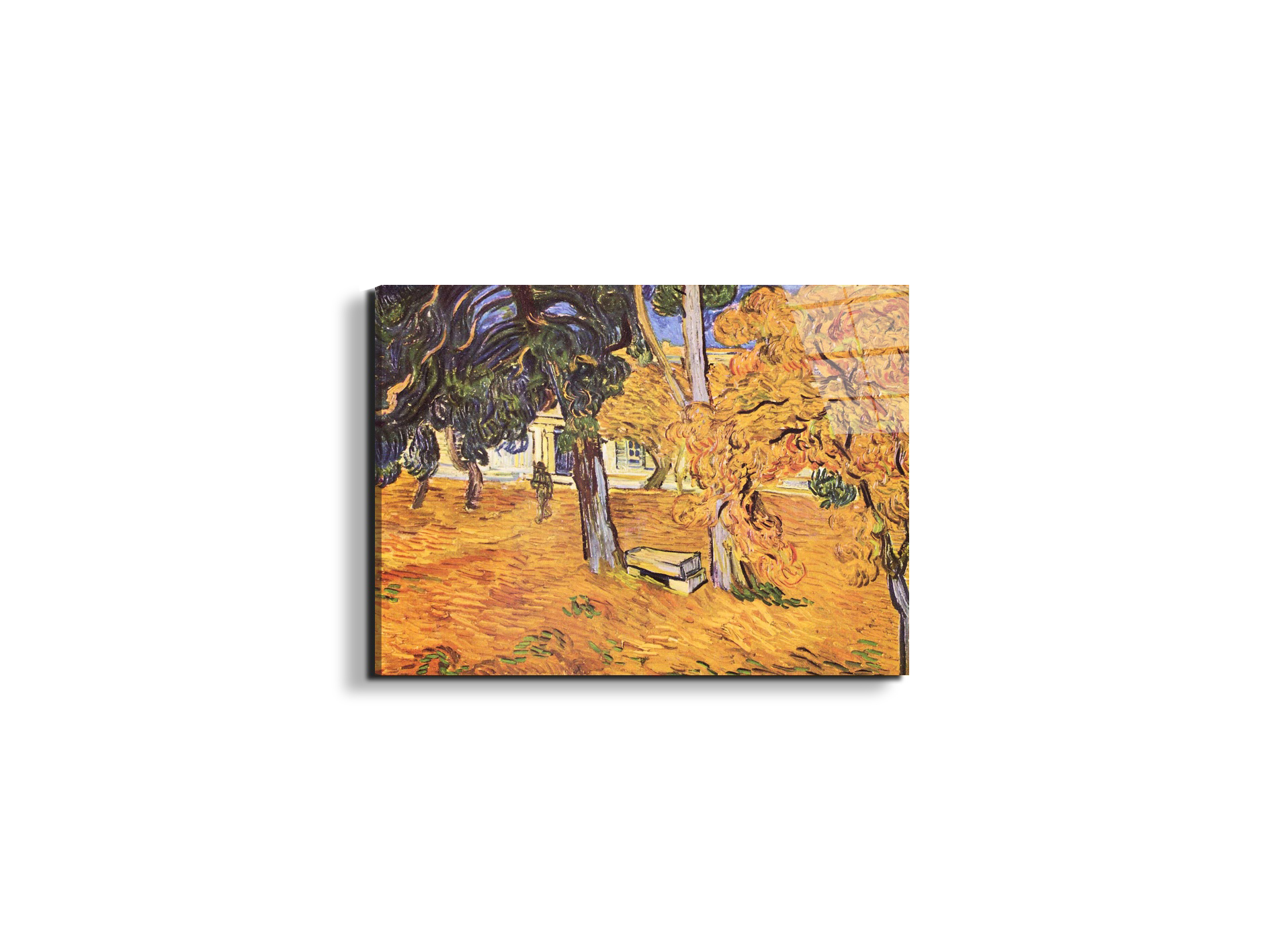 the-park-of-st-paul-hospital-in-saint-remyas91279-#materiale_EarthArt Total Gloss/dimensioni_50x37,50