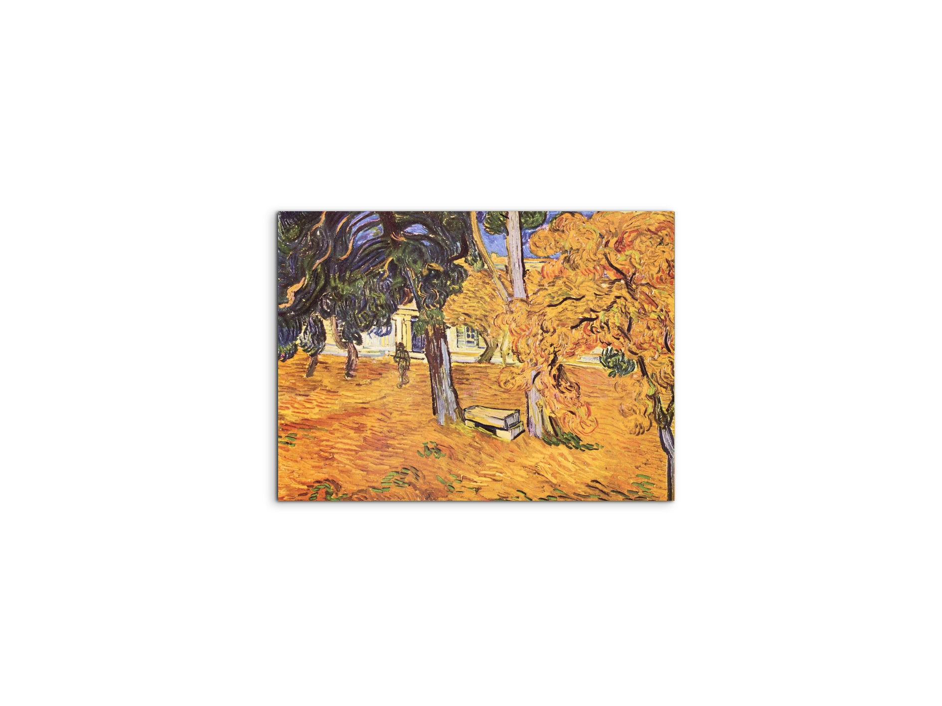 the-park-of-st-paul-hospital-in-saint-remyas91279-#materiale_MetalArt Materic/dimensioni_50x37,50