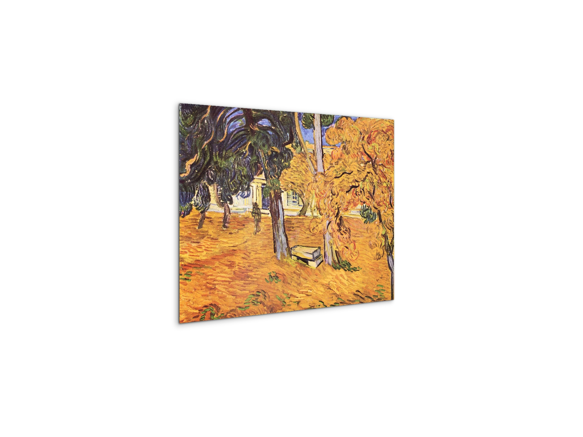 the-park-of-st-paul-hospital-in-saint-remyas91279-#materiale_MetalArt Materic/dimensioni_50x37,50