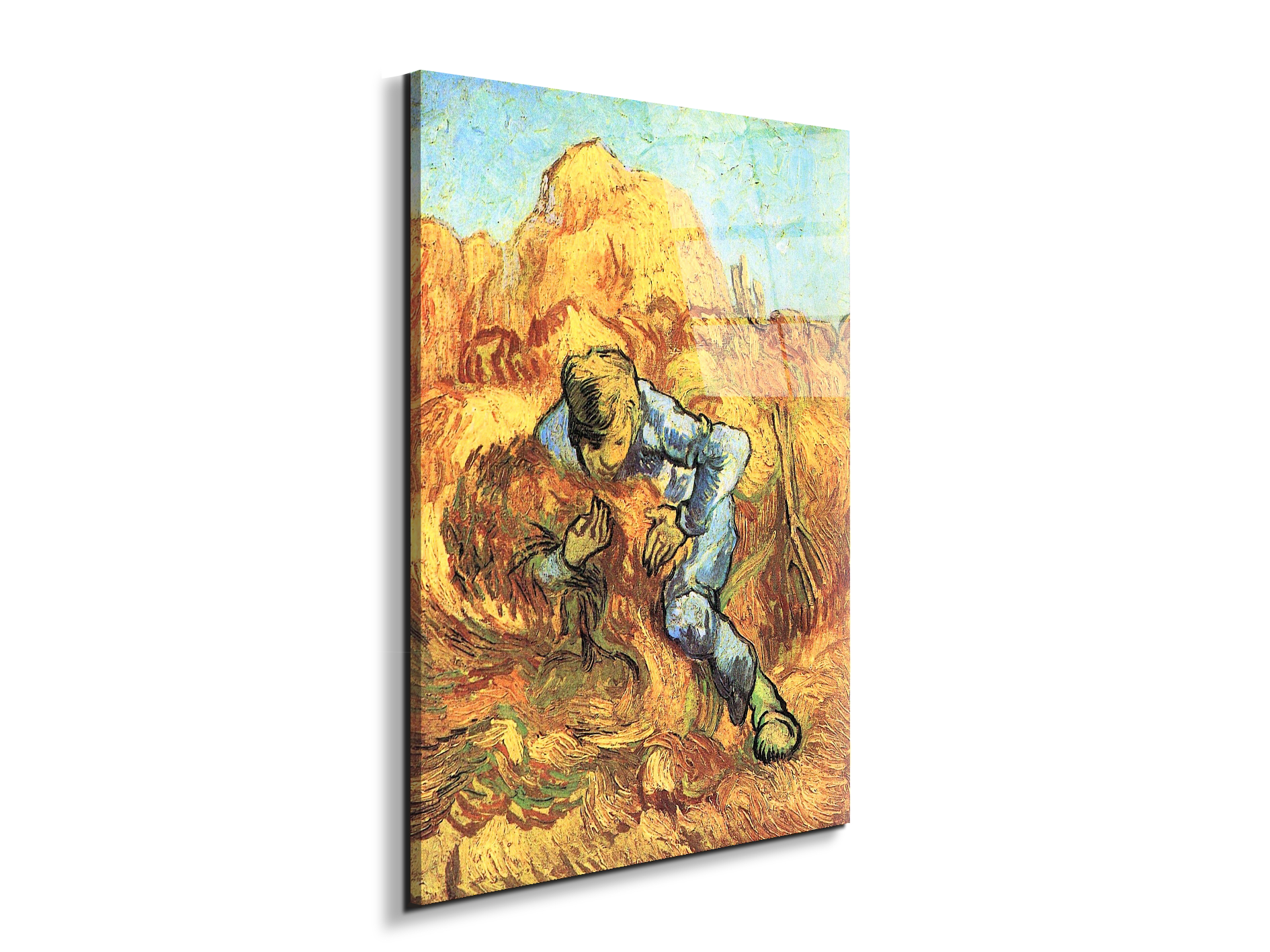 the-sheaf-binderas91287-#materiale_EarthArt Total Gloss/dimensioni_57x76