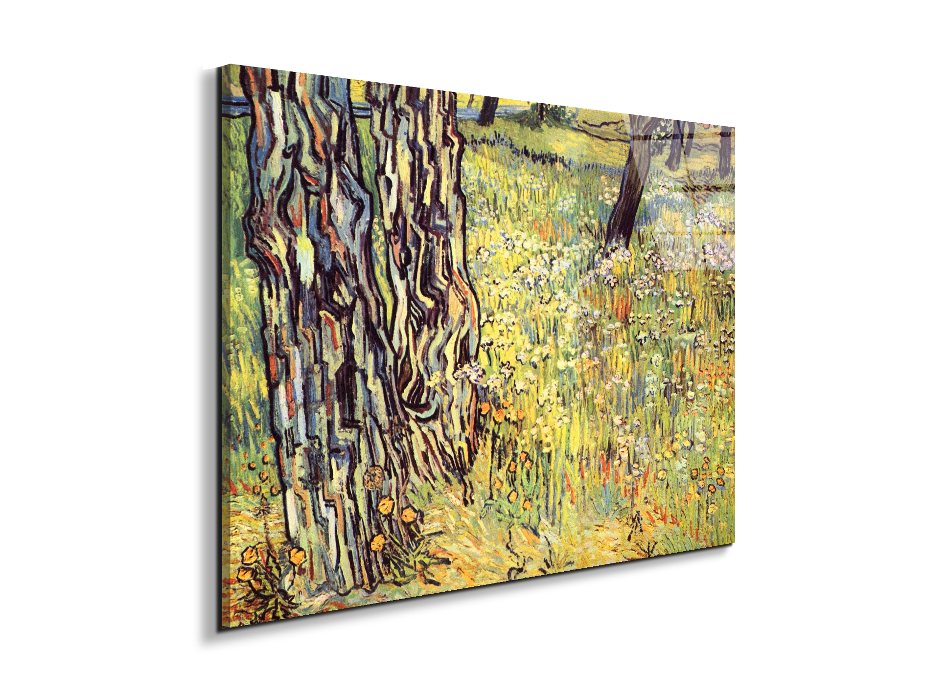 tree-trunksas91299-