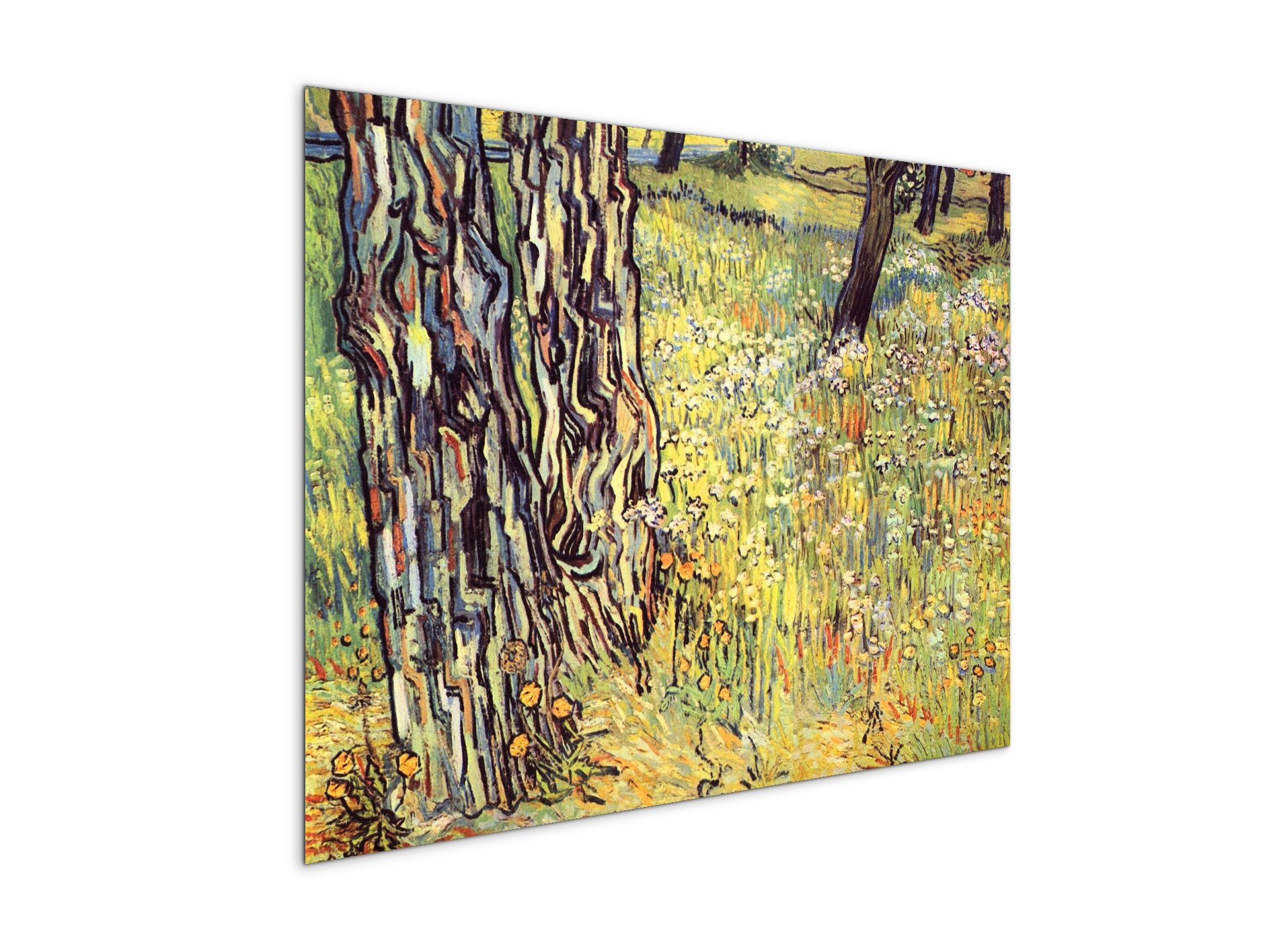 tree-trunksas91299-