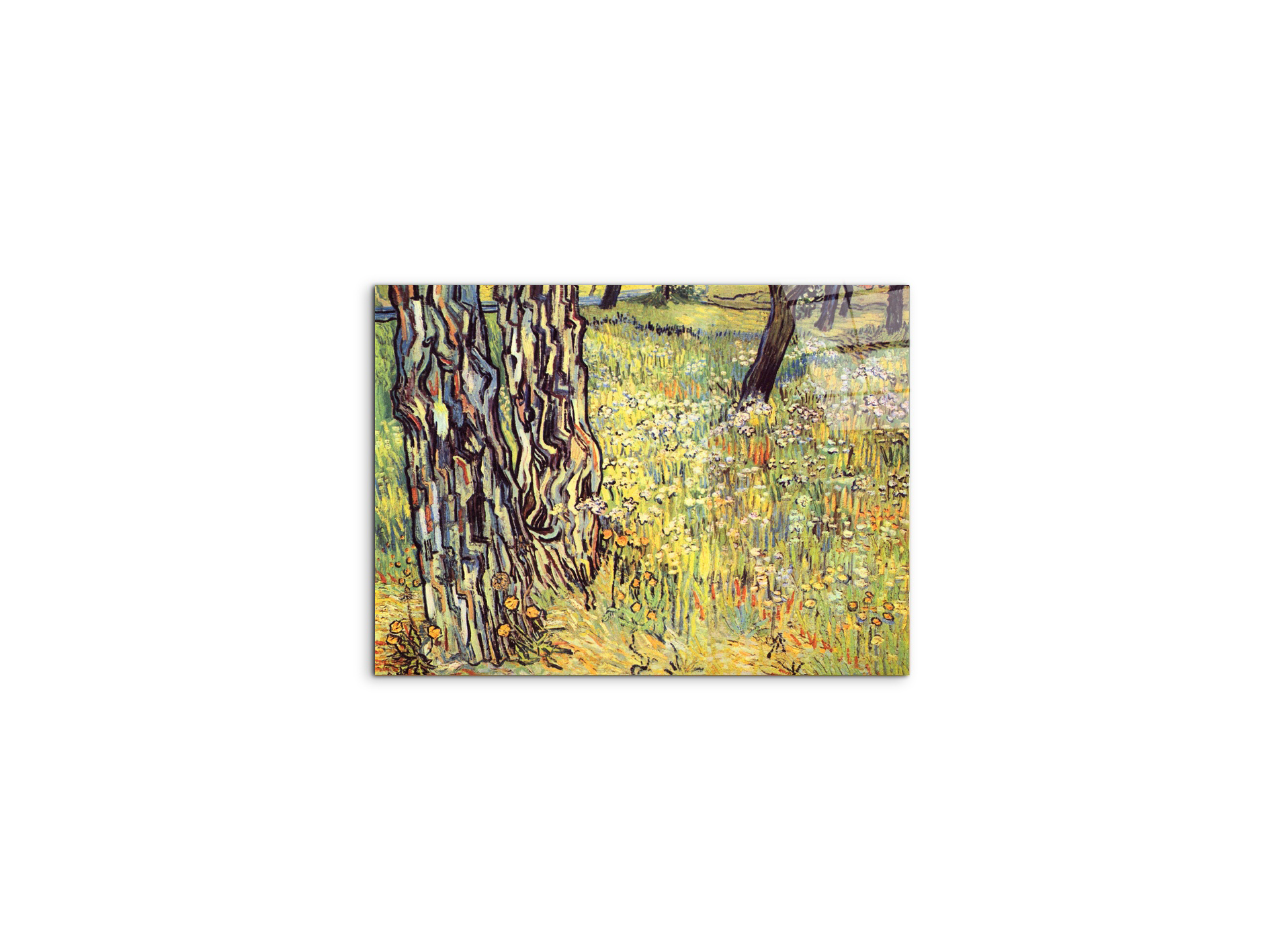 tree-trunksas91299-#materiale_CrystalArt/dimensioni_50x37,50