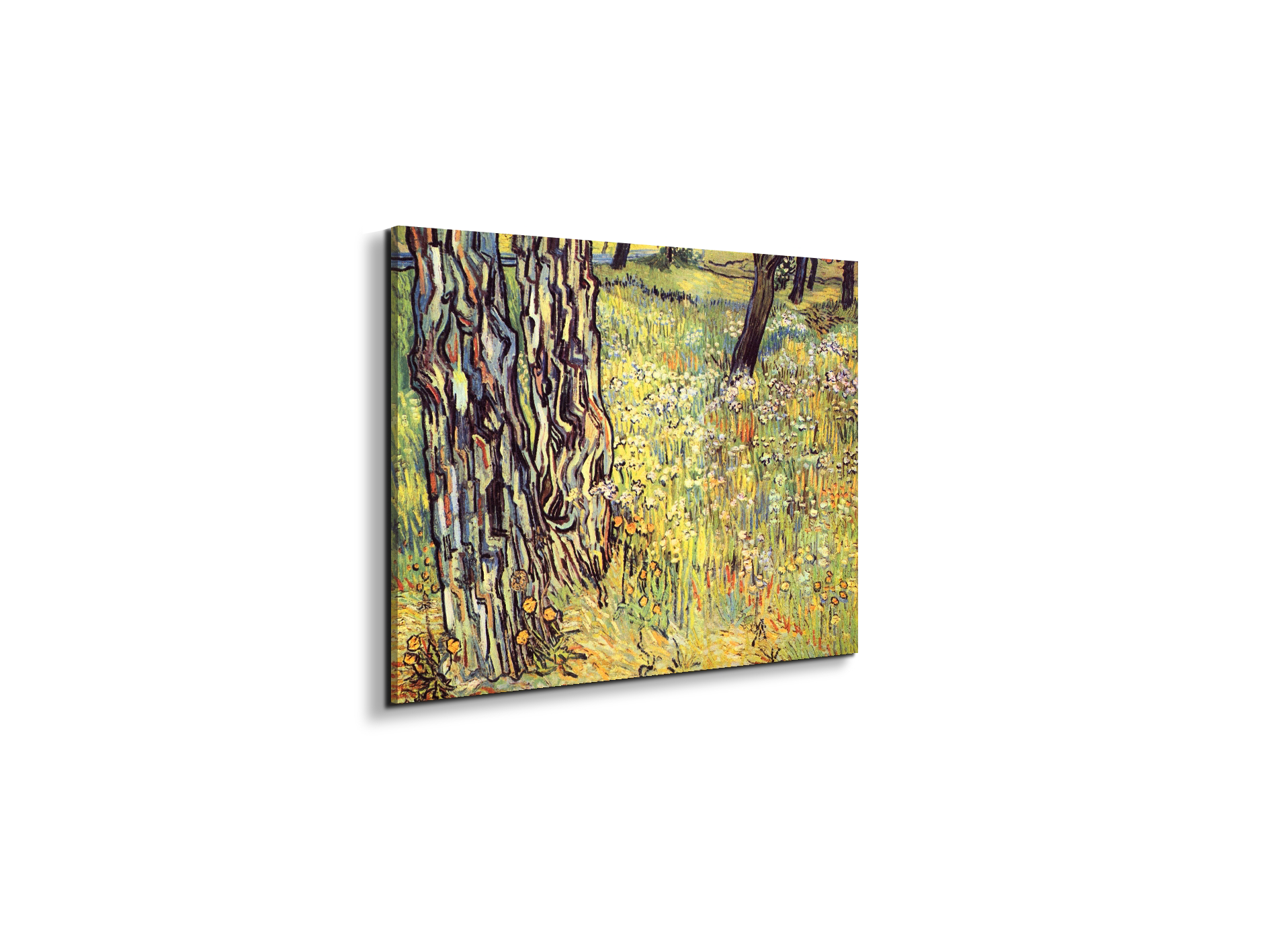 tree-trunksas91299-