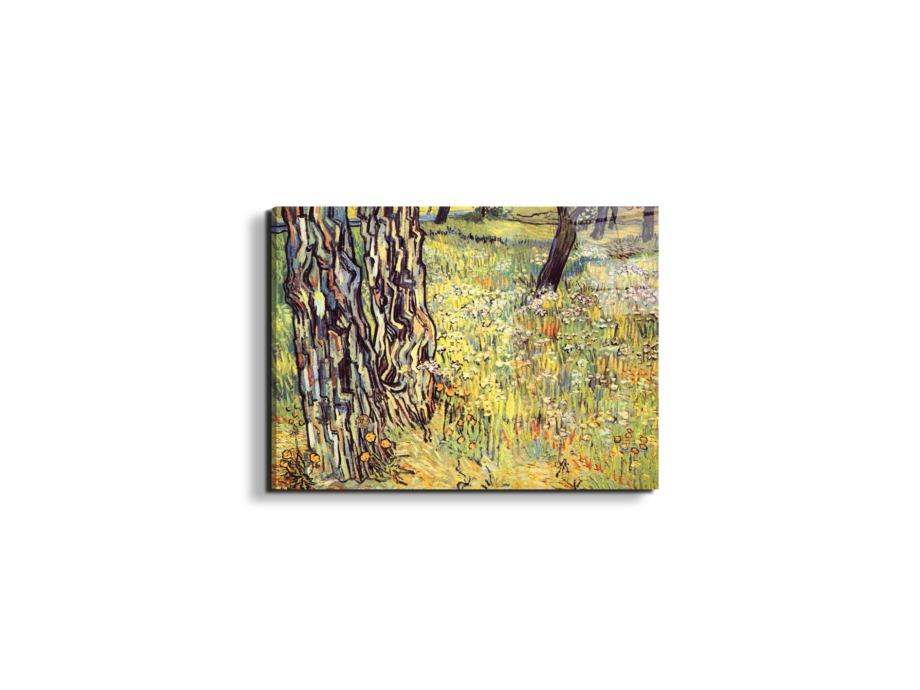 tree-trunksas91299-