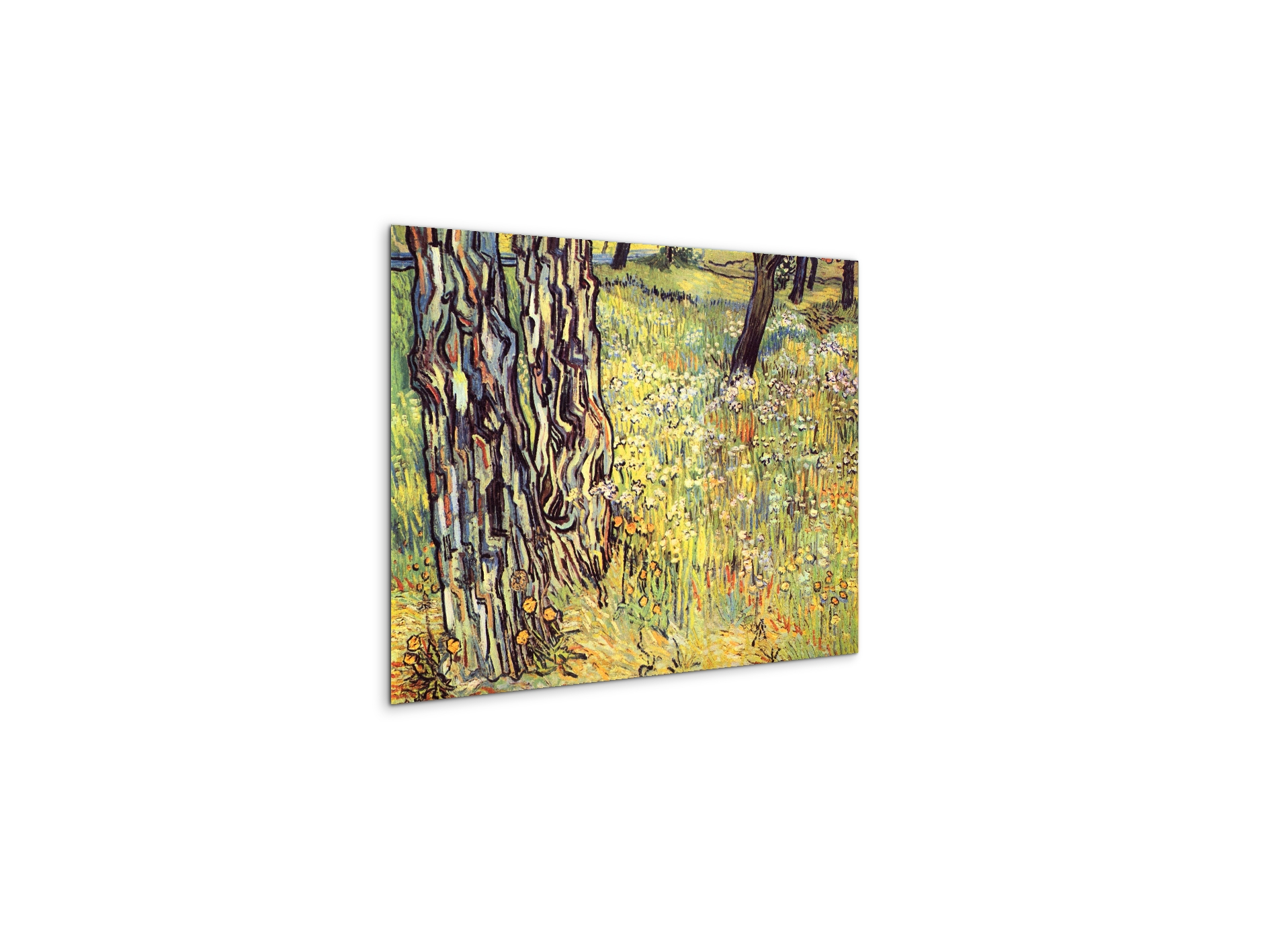 tree-trunksas91299-