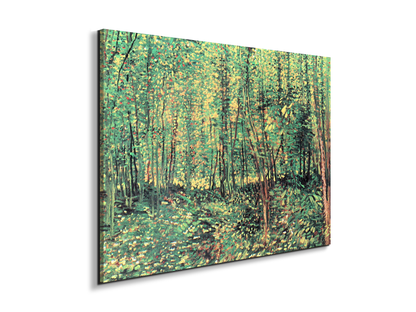 trees-and-undergrowthas91301-