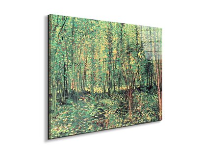 trees-and-undergrowthas91301-