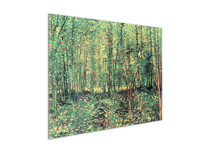 trees-and-undergrowthas91301-