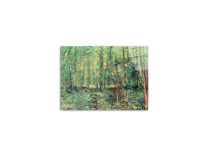 trees-and-undergrowthas91301-