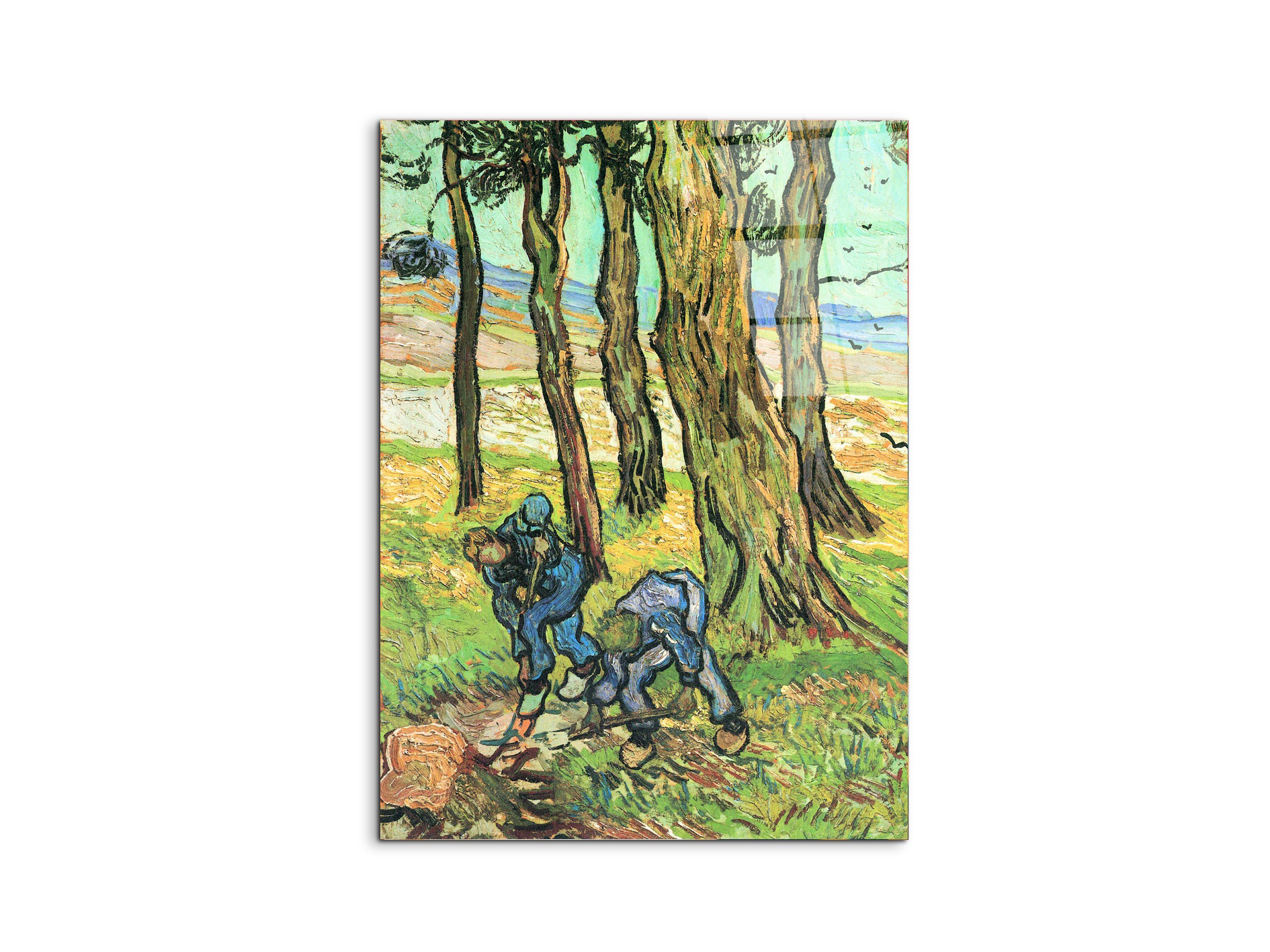 two-men-in-digging-out-a-tree-stumpas91317-#materiale_CrystalArt/dimensioni_57x76