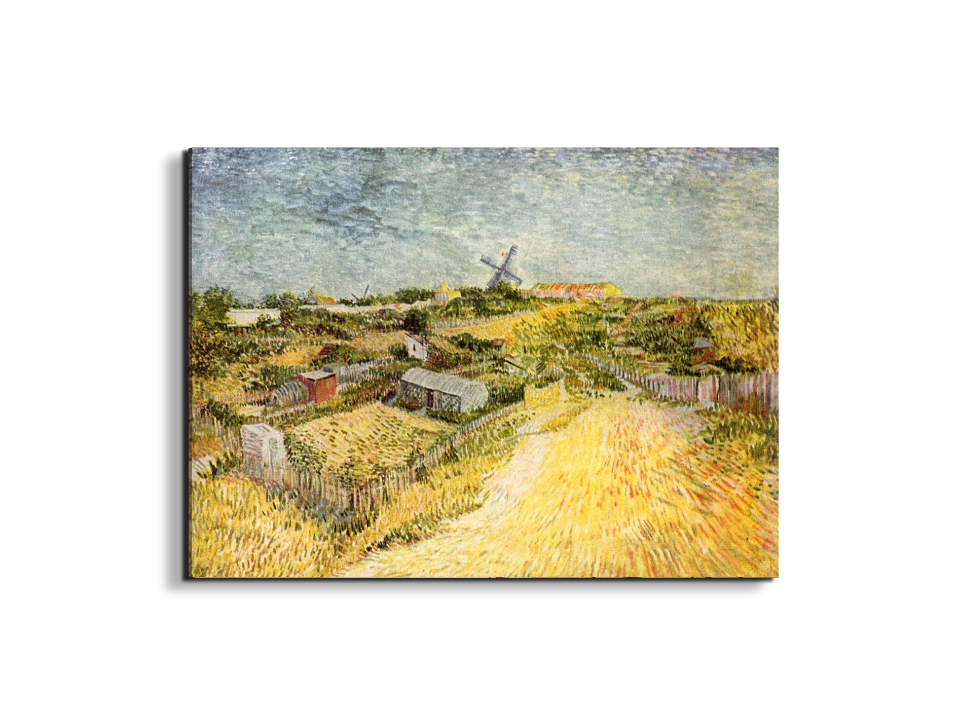 vegetable-gardens-in-montmartreas91329-#materiale_EarthArt/dimensioni_76x57