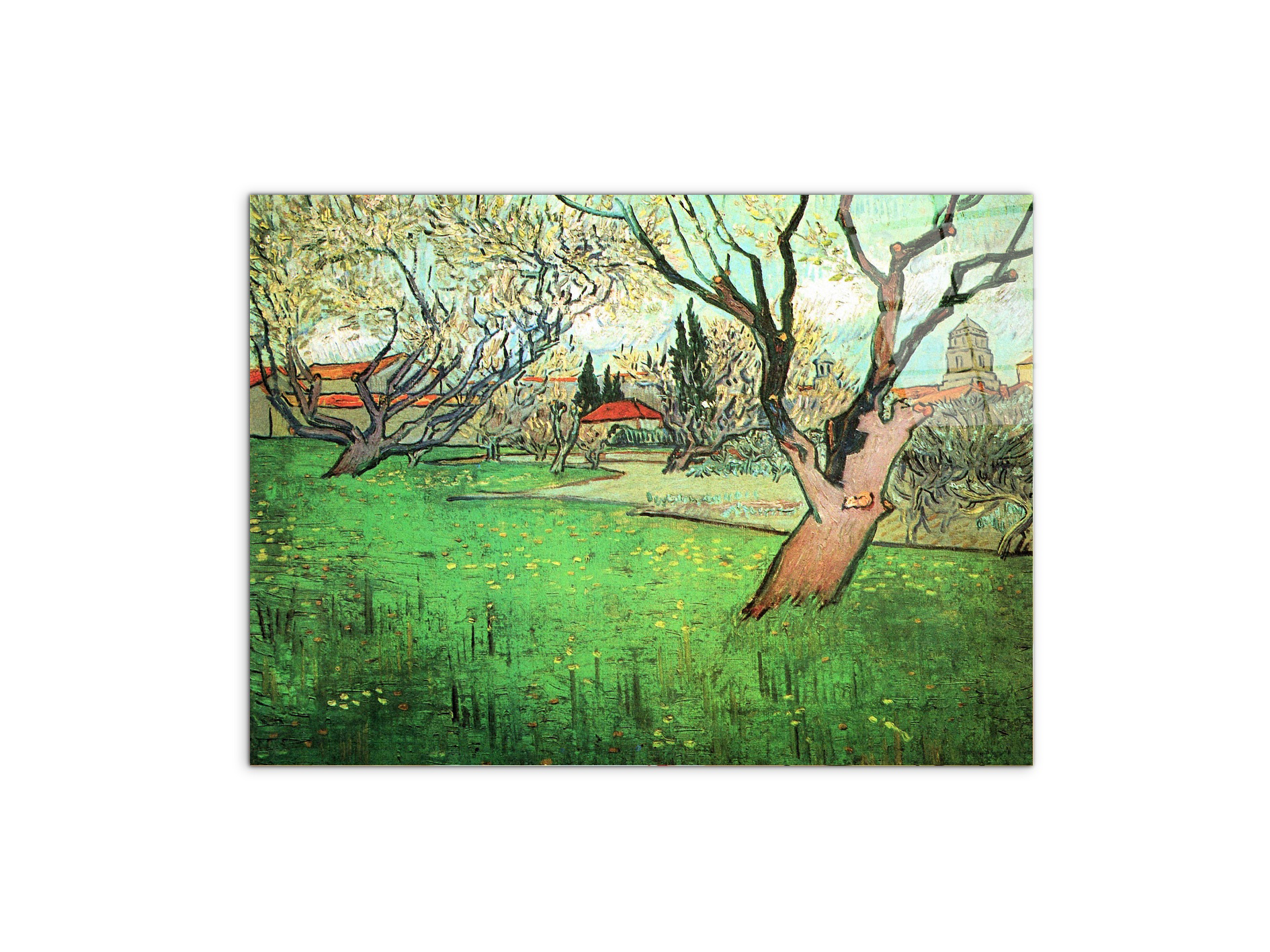 view-of-arles-with-flowering-treeas91339-#materiale_CrystalArt/dimensioni_76x57