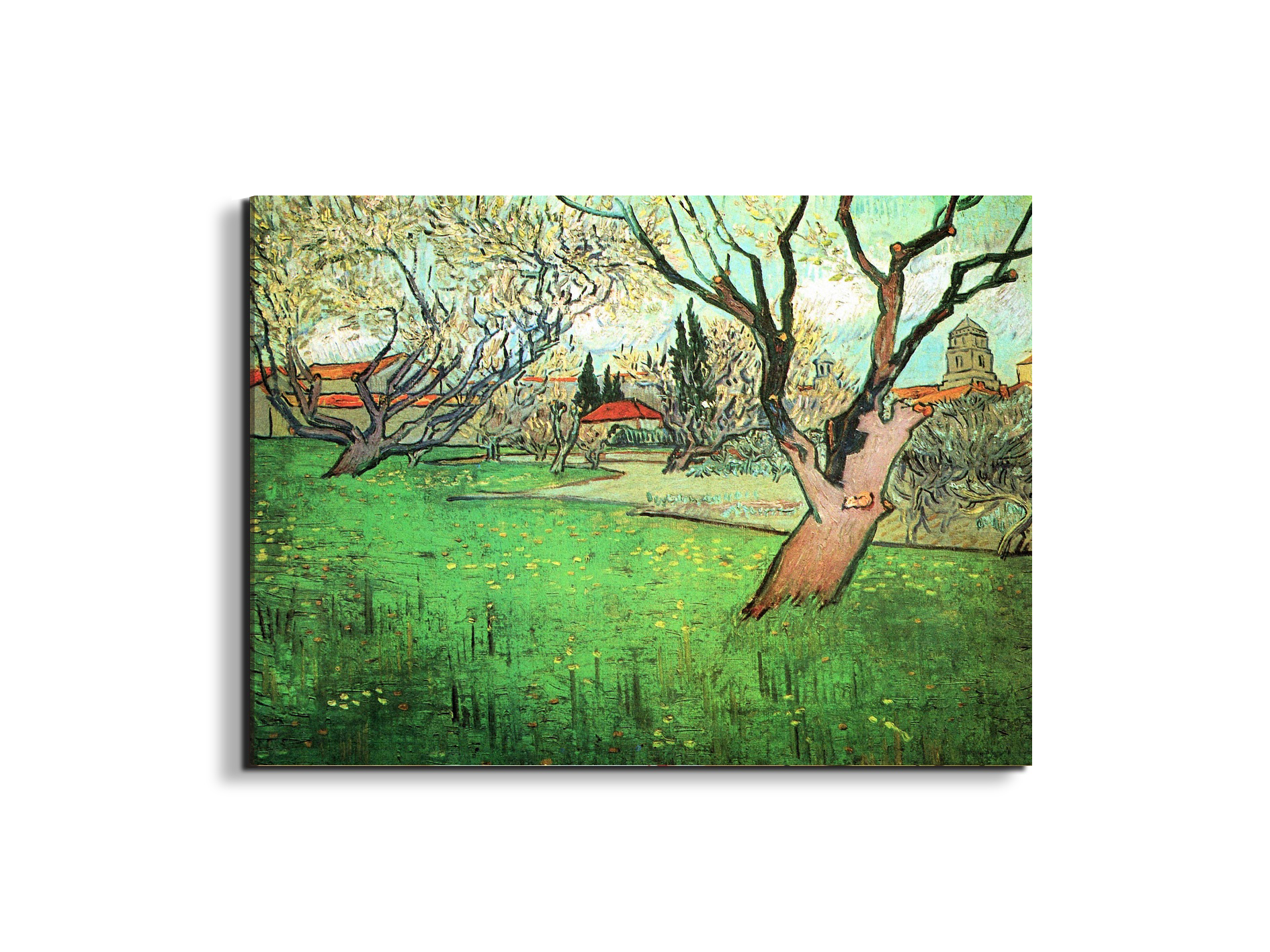 view-of-arles-with-flowering-treeas91339-#materiale_EarthArt/dimensioni_76x57