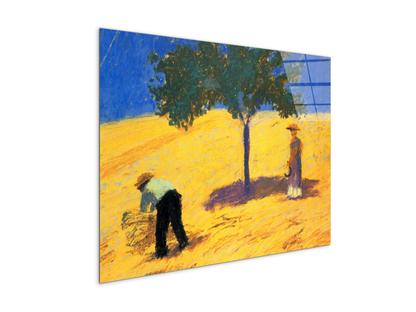 tree-in-cornfeld-as91423-