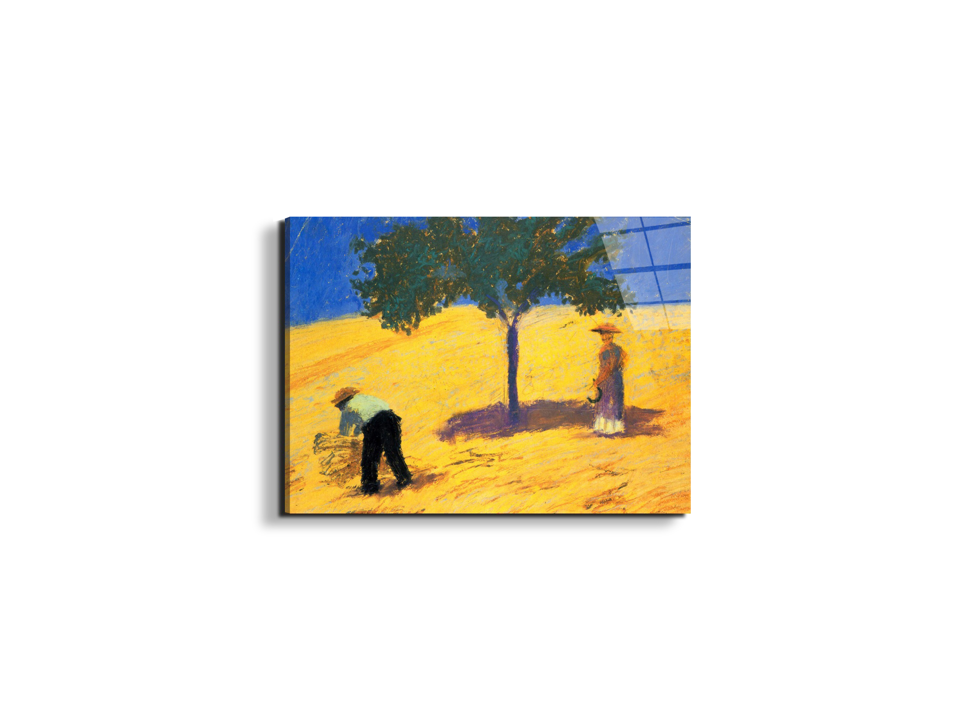 tree-in-cornfeld-as91423-