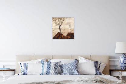 autumn-sun-and-treesas91433-1-
