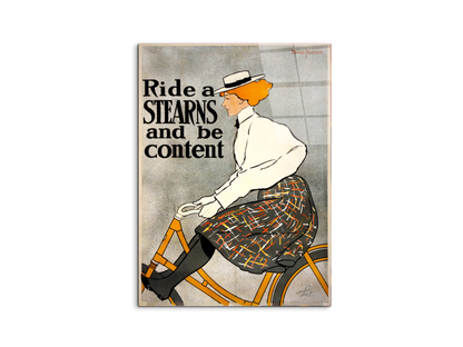 ride-a-stearnsas91645-
