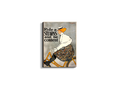 ride-a-stearnsas91645-