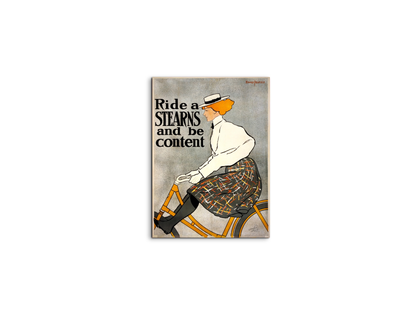 ride-a-stearnsas91645-