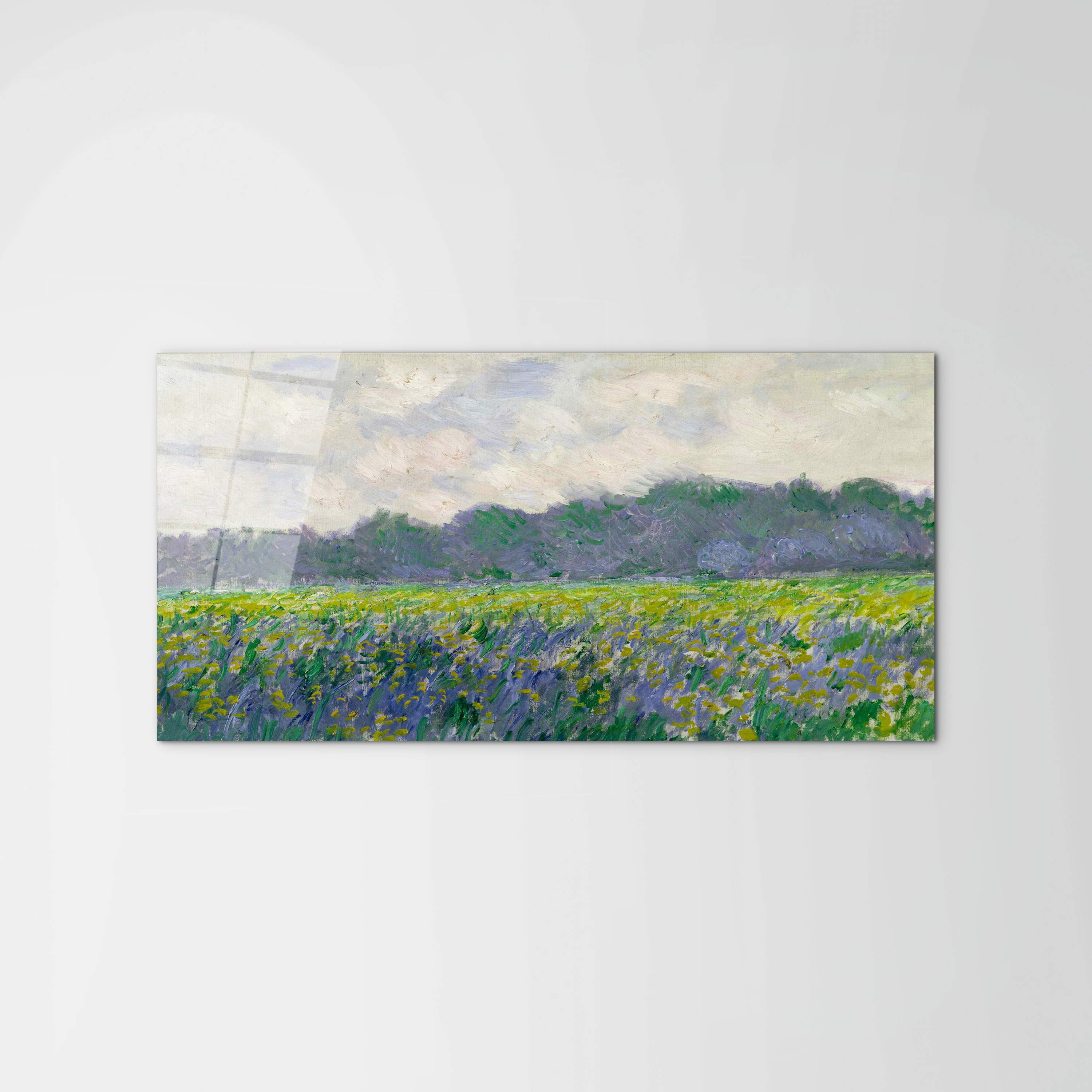 field-of-yellow-irisesas91743-#materiale_CrystalArt/dimensioni_100x50