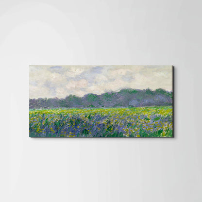 field-of-yellow-irisesas91743-#materiale_EarthArt Materic/dimensioni_100x50