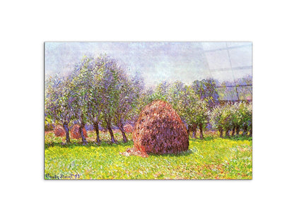 heap-of-hay-in-the-fieldas91785-