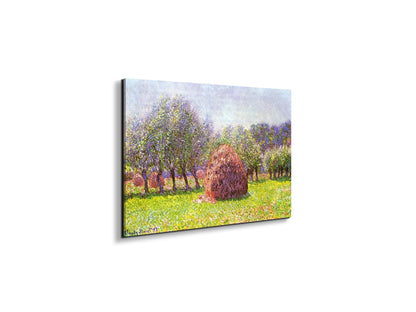 heap-of-hay-in-the-fieldas91785-