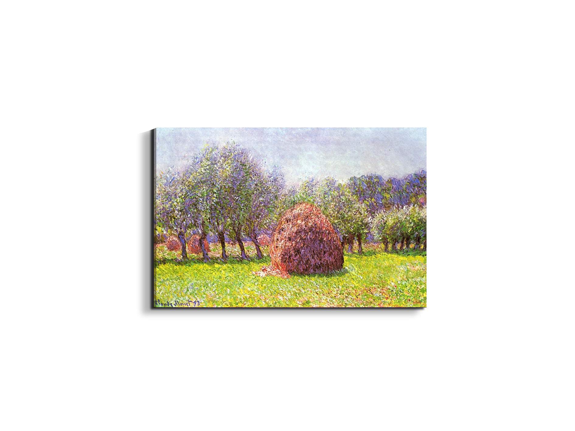 heap-of-hay-in-the-fieldas91785-