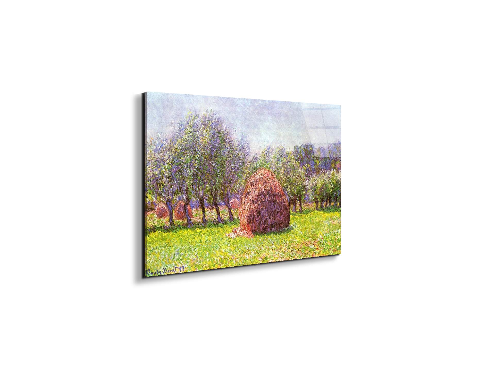 heap-of-hay-in-the-fieldas91785-