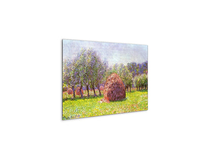 heap-of-hay-in-the-fieldas91785-
