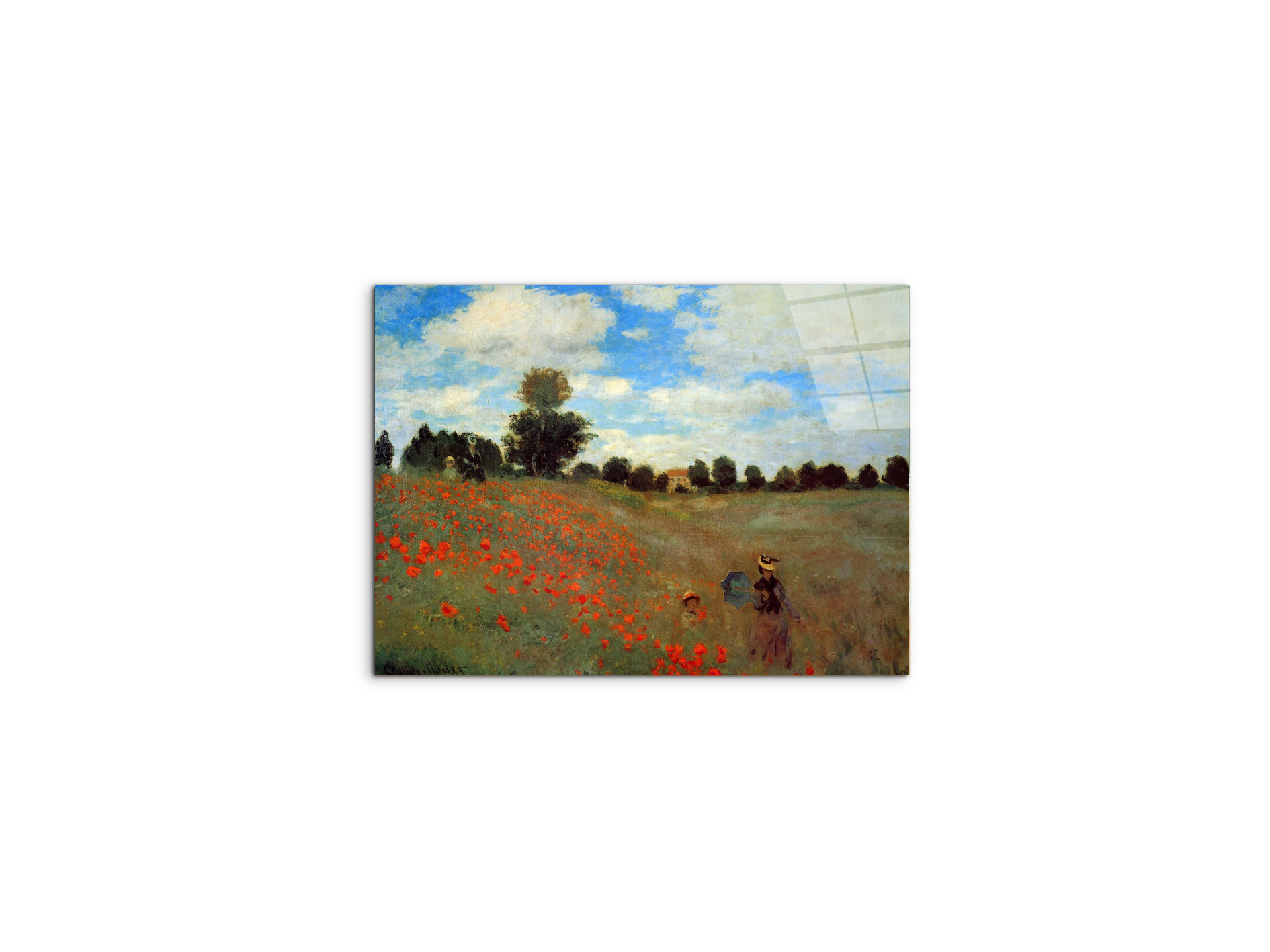 les-coqueliquotsas91823-