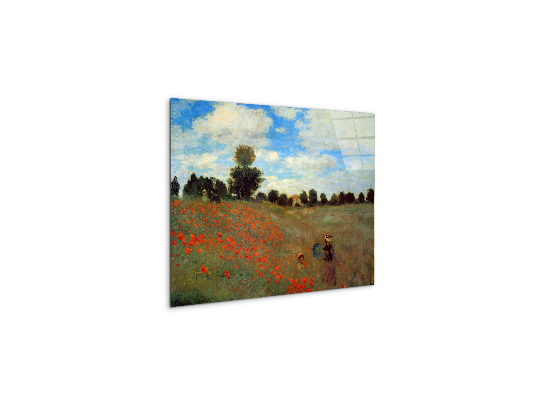 les-coqueliquotsas91823-