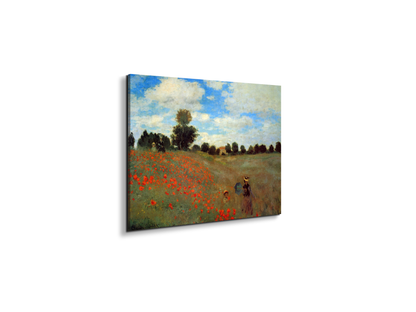 les-coqueliquotsas91823-