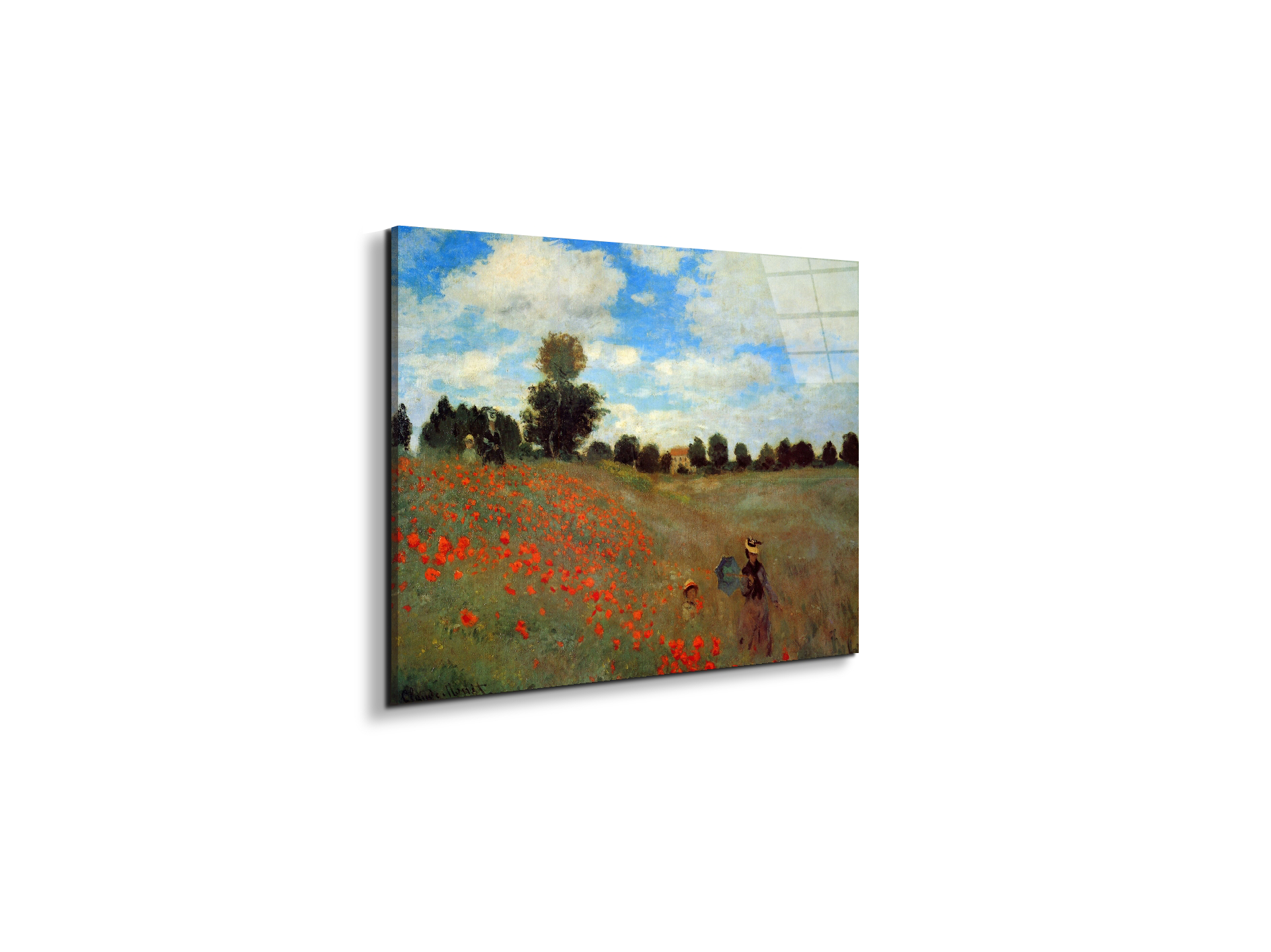 les-coqueliquotsas91823-
