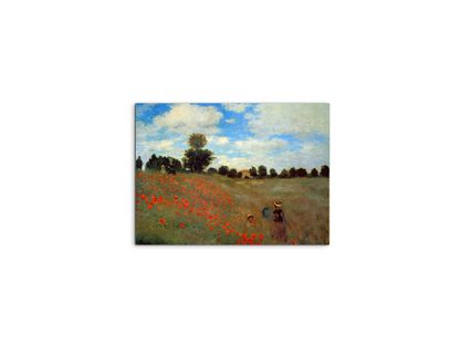 les-coqueliquotsas91823-