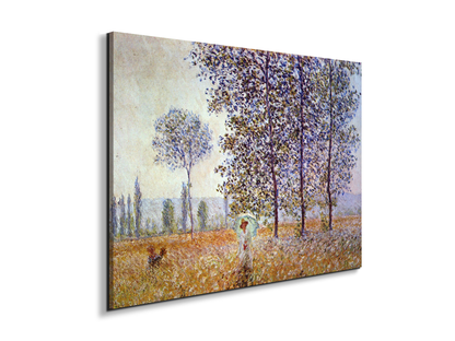 poplars-in-the-sunlightas91871-