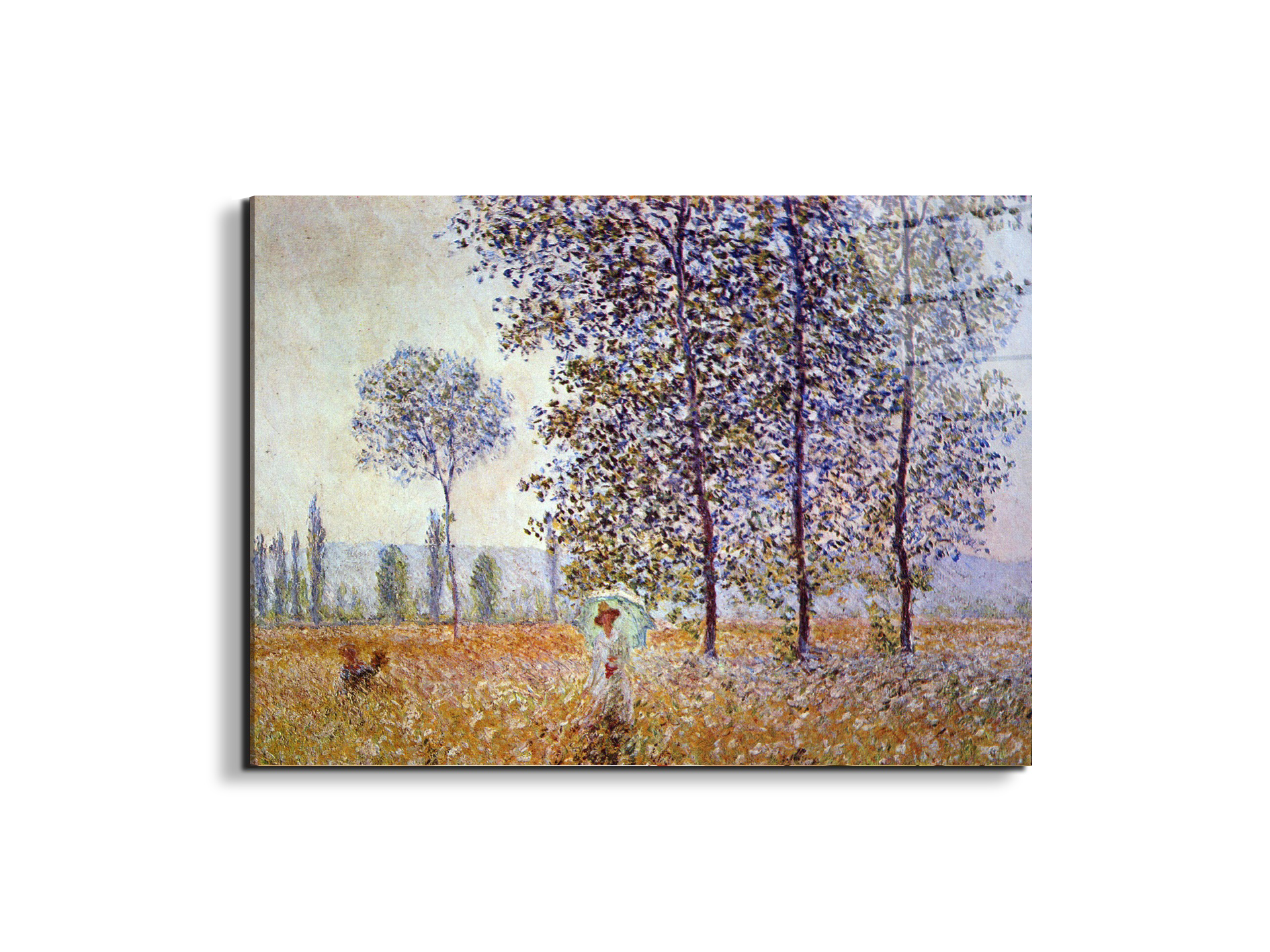 poplars-in-the-sunlightas91871-#materiale_EarthArt Total Gloss/dimensioni_76x57