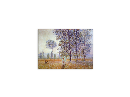 poplars-in-the-sunlightas91871-