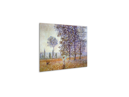 poplars-in-the-sunlightas91871-
