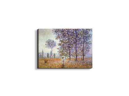 poplars-in-the-sunlightas91871-